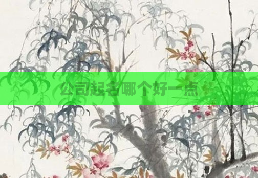 公司起名哪个好一点