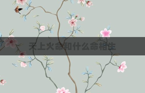 天上火命和什么命相生
