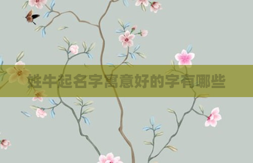姓牛起名字寓意好的字有哪些
