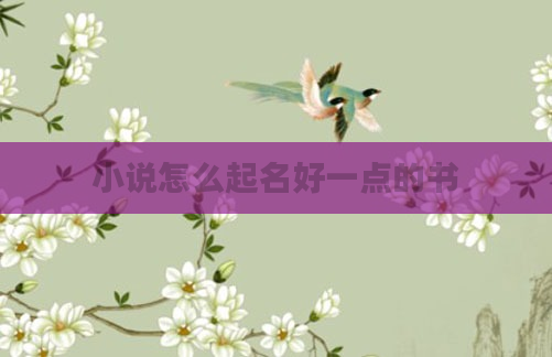 小说怎么起名好一点的书