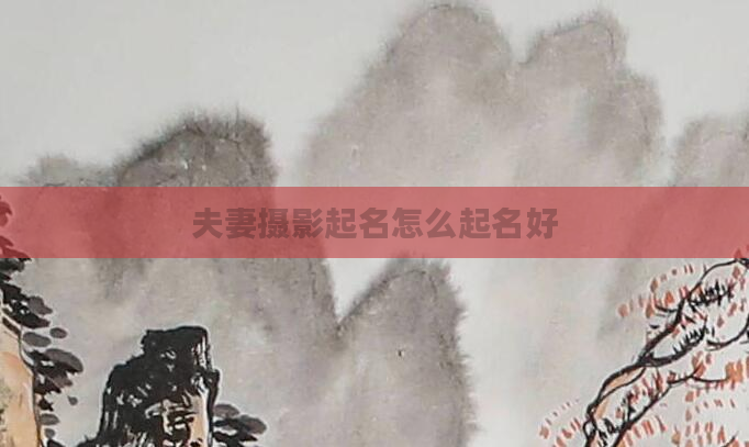 夫妻摄影起名怎么起名好