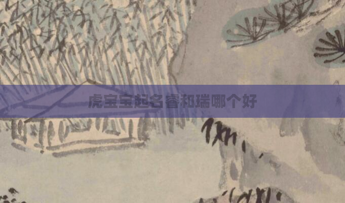 虎宝宝起名睿和瑞哪个好