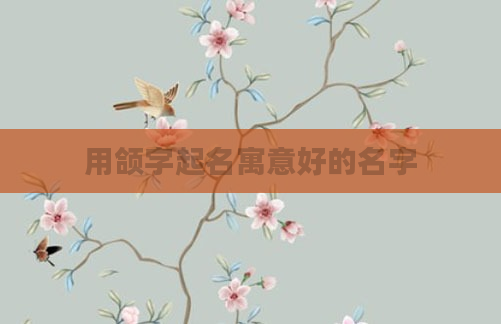 用颌字起名寓意好的名字