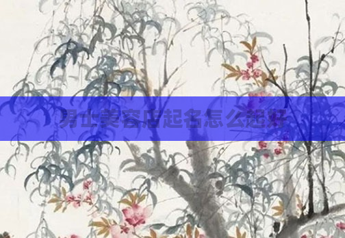 男士美容店起名怎么起好