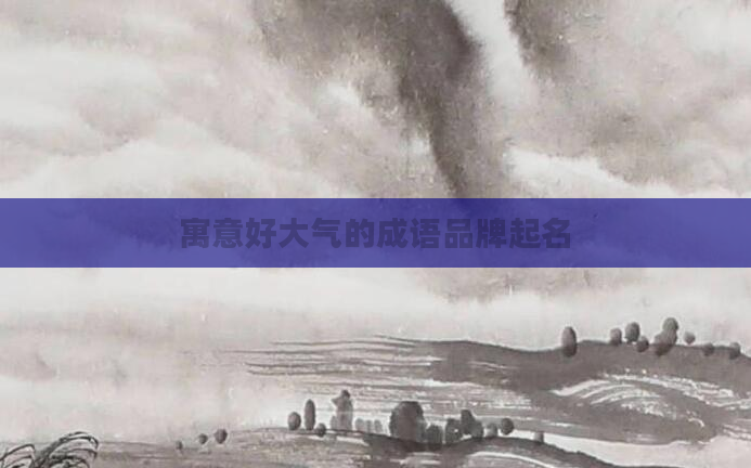 寓意好大气的成语品牌起名