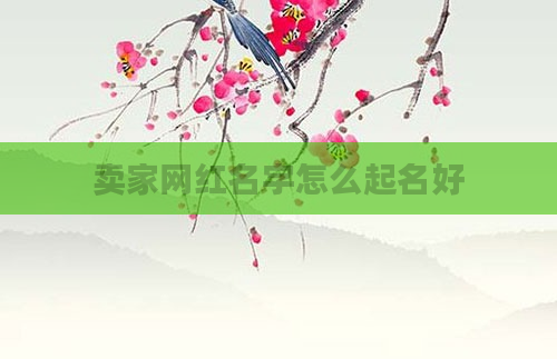 卖家网红名字怎么起名好