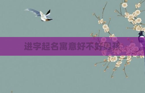 进字起名寓意好不好男孩
