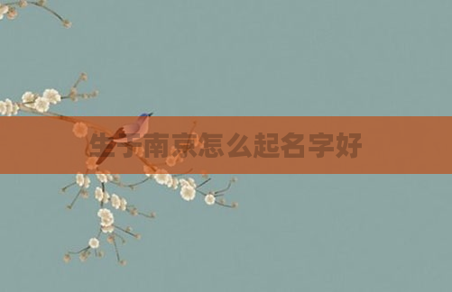 生于南京怎么起名字好