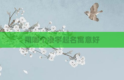 用哪个凌字起名寓意好
