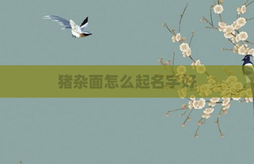 猪杂面怎么起名字好