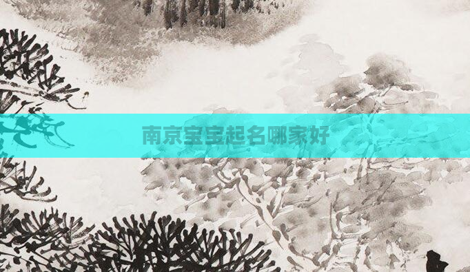 南京宝宝起名哪家好
