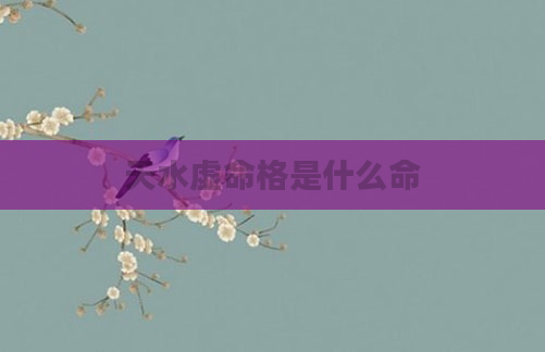天水虚命格是什么命