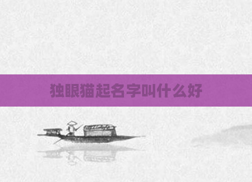 独眼猫起名字叫什么好