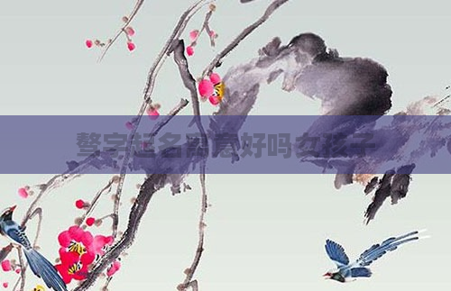 骜字起名寓意好吗女孩子