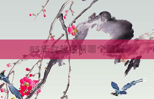 85年女起名用哪个薇好