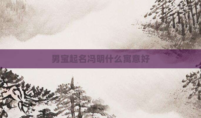 男宝起名冯明什么寓意好