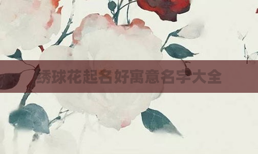 绣球花起名好寓意名字大全