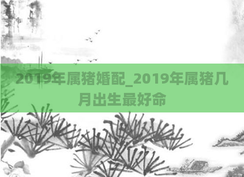 2019年属猪婚配_2019年属猪几月出生最好命