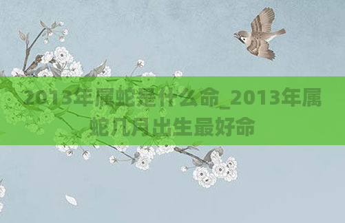 2013年属蛇是什么命_2013年属蛇几月出生最好命