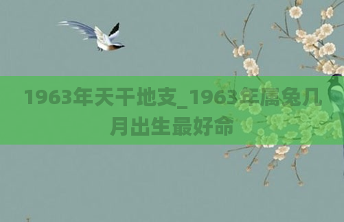 1963年天干地支_1963年属兔几月出生最好命
