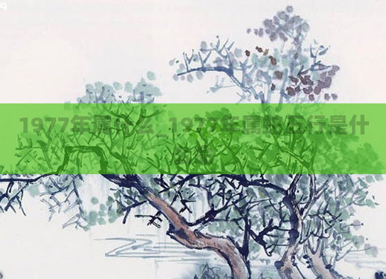 1977年属什么_1977年属蛇五行是什么命