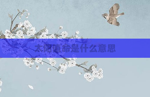 太阳值命是什么意思