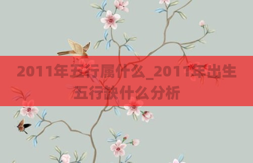 2011年五行属什么_2011年出生五行缺什么分析