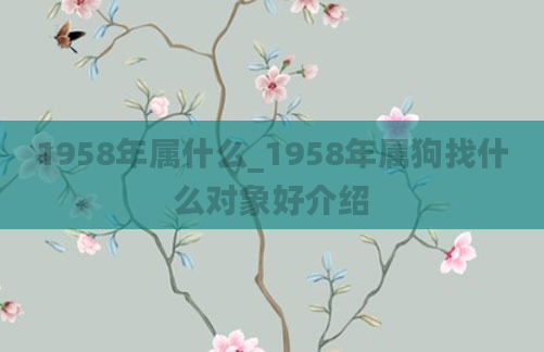 1958年属什么_1958年属狗找什么对象好介绍
