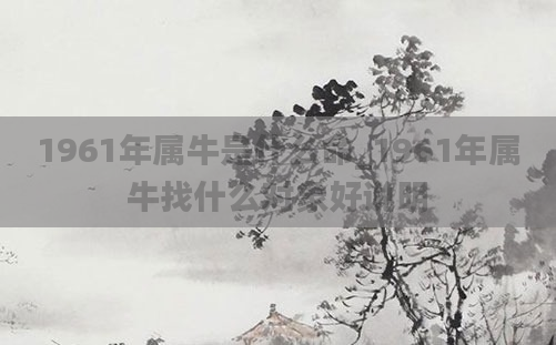 1961年属牛是什么命_1961年属牛找什么对象好说明