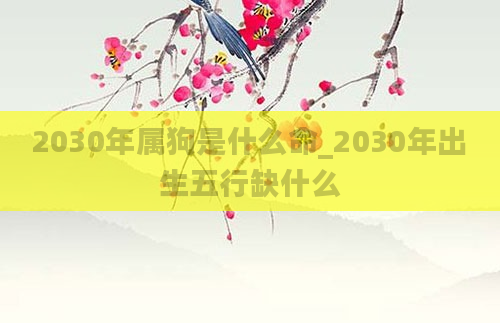 2030年属狗是什么命_2030年出生五行缺什么