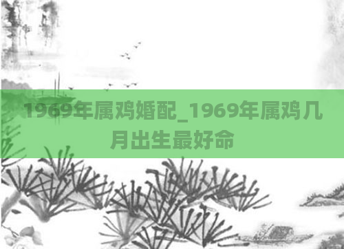 1969年属鸡婚配_1969年属鸡几月出生最好命