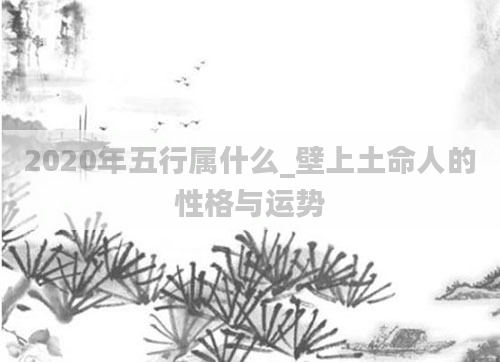 2020年五行属什么_壁上土命人的性格与运势