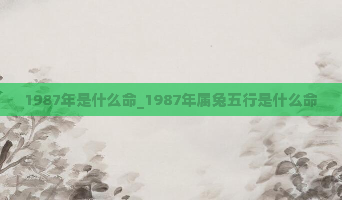 1987年是什么命_1987年属兔五行是什么命