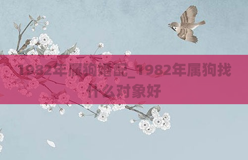 1982年属狗婚配_1982年属狗找什么对象好