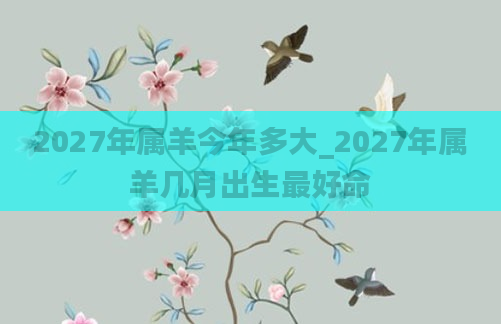 2027年属羊今年多大_2027年属羊几月出生最好命