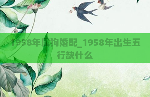 1958年属狗婚配_1958年出生五行缺什么