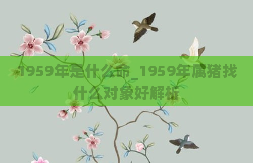 1959年是什么命_1959年属猪找什么对象好解析