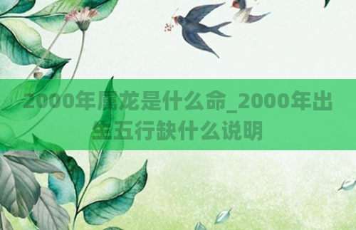 2000年属龙是什么命_2000年出生五行缺什么说明