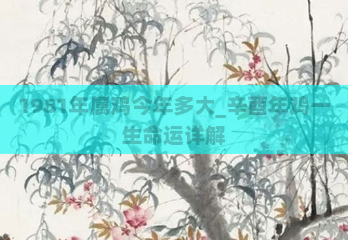 1981年属鸡今年多大_辛酉年鸡一生命运详解