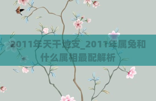 2011年天干地支_2011年属兔和什么属相最配解析
