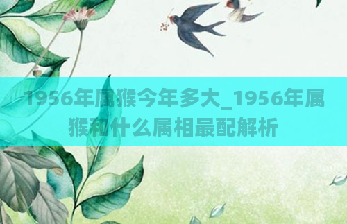 1956年属猴今年多大_1956年属猴和什么属相最配解析