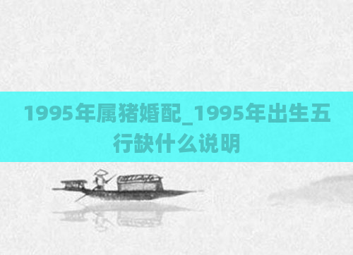 1995年属猪婚配_1995年出生五行缺什么说明