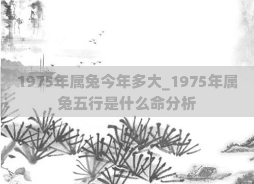 1975年属兔今年多大_1975年属兔五行是什么命分析