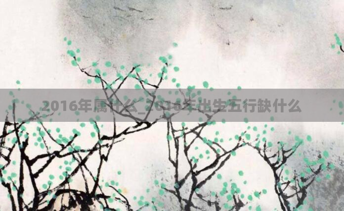 2016年属什么_2016年出生五行缺什么