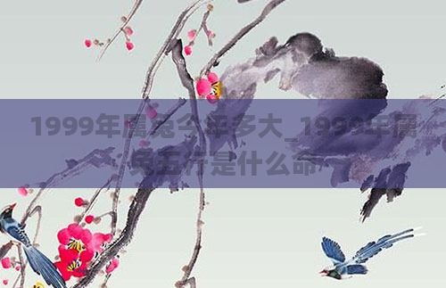 1999年属兔今年多大_1999年属兔五行是什么命