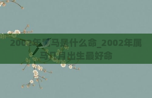 2002年属马是什么命_2002年属马几月出生最好命