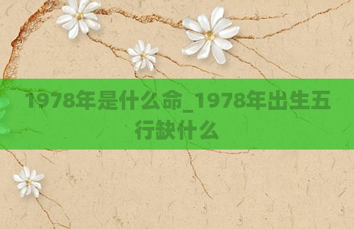 1978年是什么命_1978年出生五行缺什么