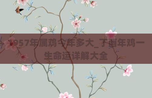 1957年属鸡今年多大_丁酉年鸡一生命运详解大全