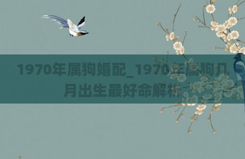 1970年属狗婚配_1970年属狗几月出生最好命解析