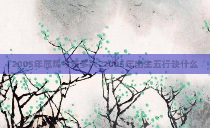 2005年属鸡今年多大_2005年出生五行缺什么